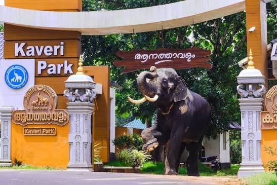 Kaveri Elephant Park